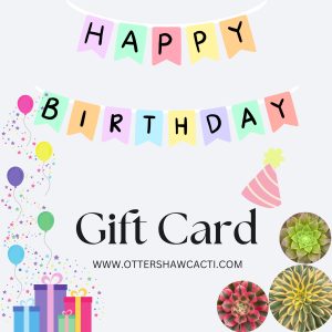 Birthday Gift Card